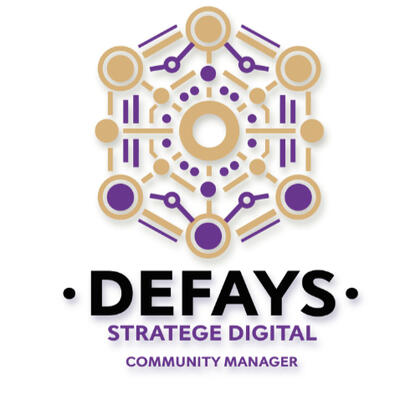 DEFAYS stratège digital Damien Defays